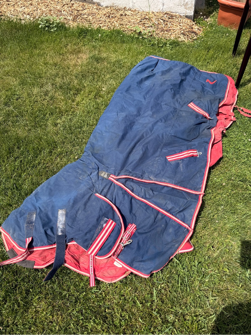 Navy & Red Horse Turnout Blanket 78”